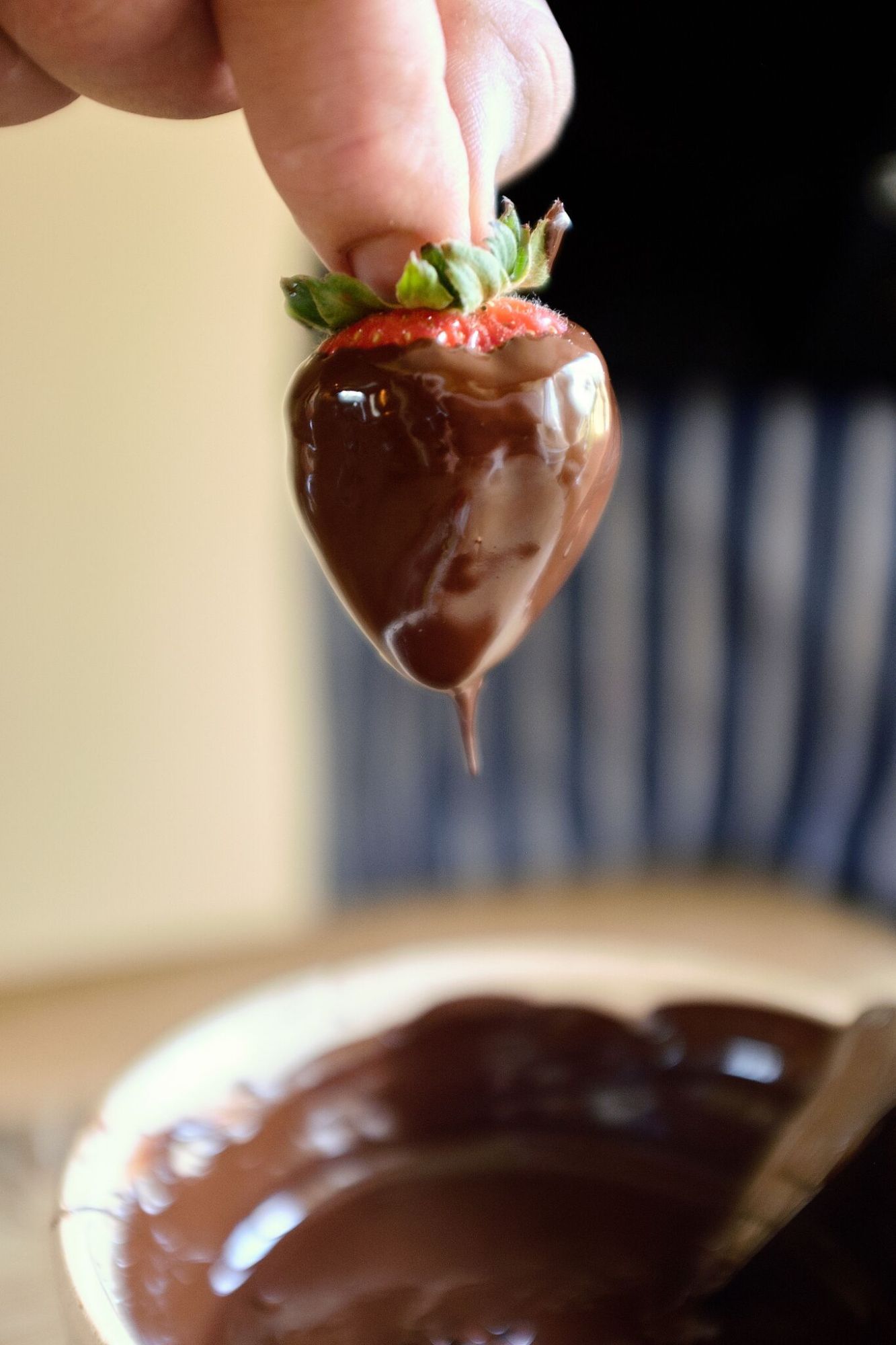 Freshly dipped chocolate strawberry